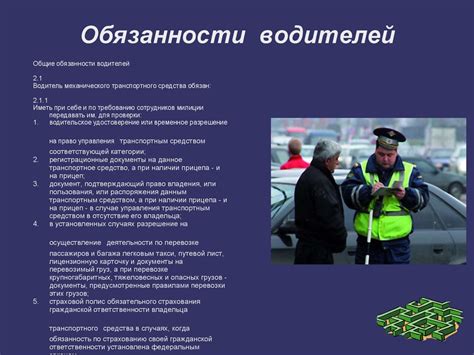 Права и обязанности водителей с автомобилями, оснащенными специальными сигналами