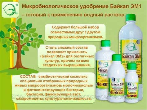 Уникальные способности и преимущества применения Инструментов Псов