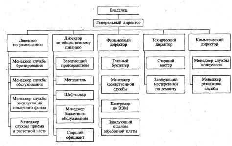 Административные полномочия директора школы