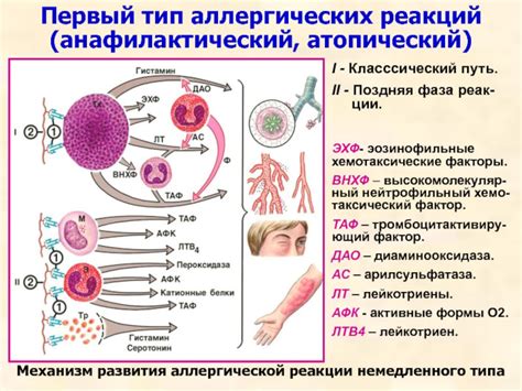 Аллергическая реакция на капусту