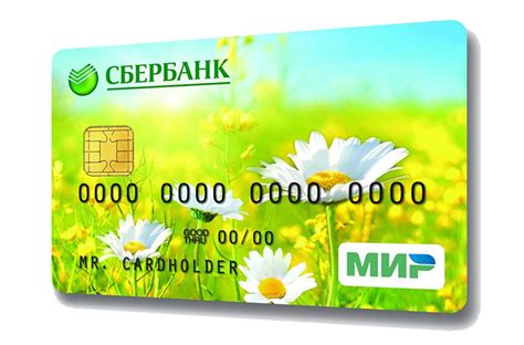 Альтернативные варианты после отключения обслуживания карты Сбербанка Мир