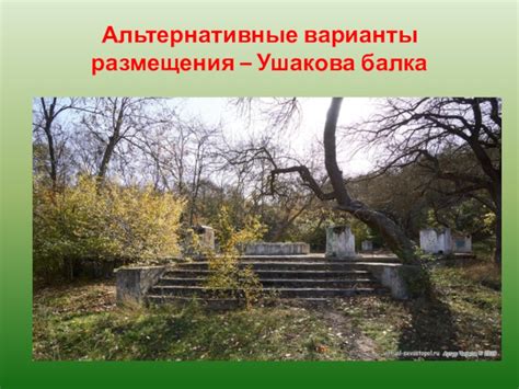 Альтернативные варианты размещения