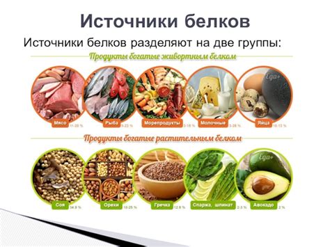 Альтернативные источники белка для поросят