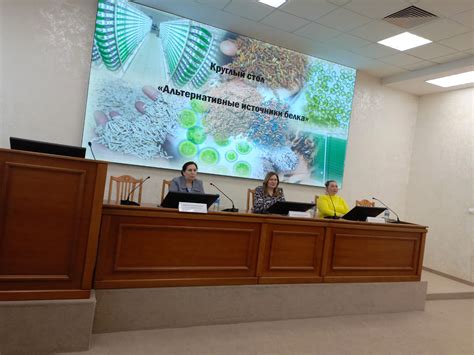 Альтернативные источники белка для шпица