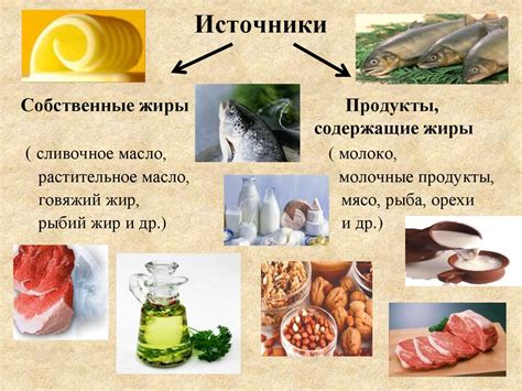Альтернативные источники животного жира