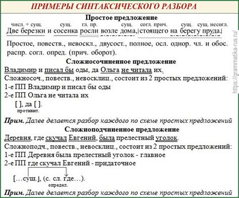 Анализ его слов: чтобы понять истинность