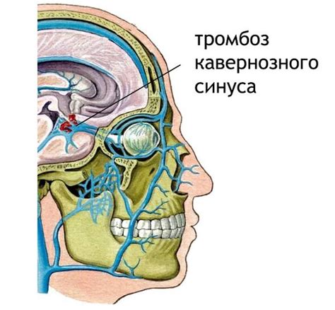 Аномалии работы мозга при потере одного глаза