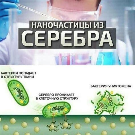 Антибактериальные свойства серебра помогают повысить иммунитет