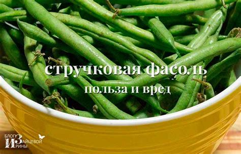 Белок в стручковой фасоли и его польза