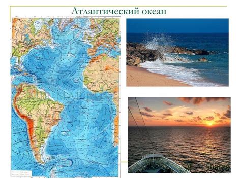 Биологические особенности Атлантического океана