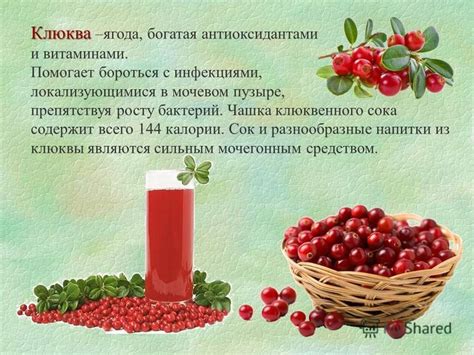 Богатая антиоксидантами ягода