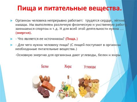 Богатый состав и питательные вещества