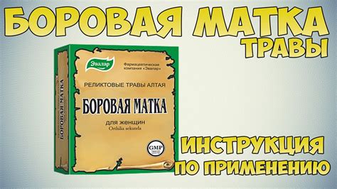 Боровая матка и Дюфастон: взаимодействие и совместимость