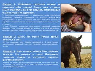 Важная роль правильного кормления и ухода