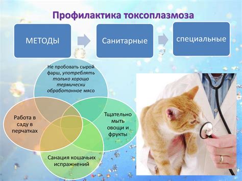 Важность информирования о последствиях выкола глаз