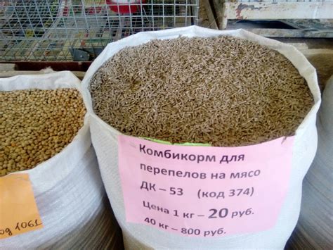 Важные факторы при выборе корма для перепелов