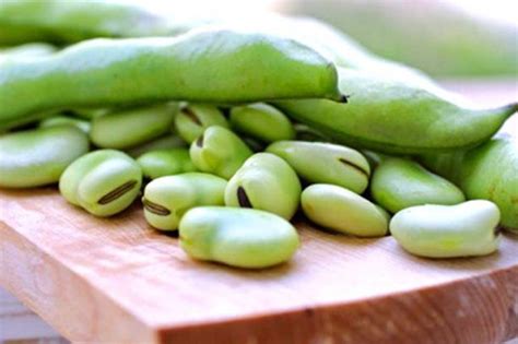 Вареная фасоль для кур: польза и вред