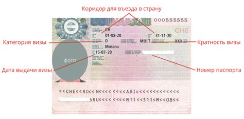 Варианты визы для поездки в Швейцарию