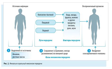 Вероятность пищевого отравления