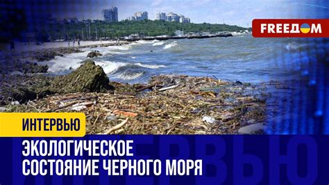 Ветеринарные меры по спасению при подавлении костями