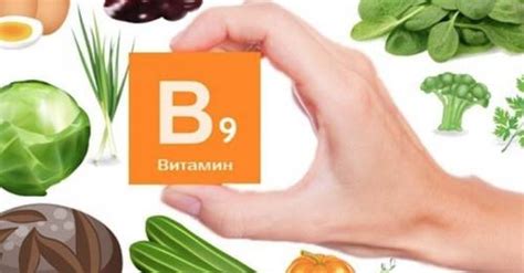 Взаимодействие йода и фолиевой кислоты в организме