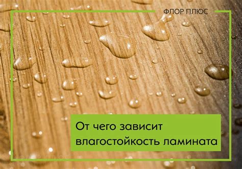 Влагостойкость ламината и пеноплекса
