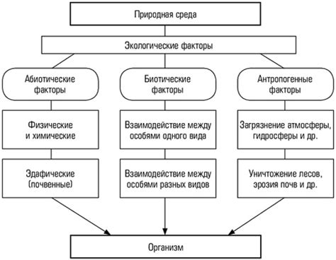 Влияние взаимодействия на организм