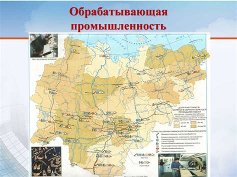 Влияние географического положения на рост трюфелей