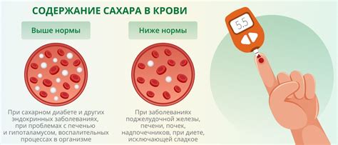 Влияние драников на уровень сахара в крови при сахарном диабете