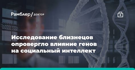 Влияние жемчуга на интеллект Весов