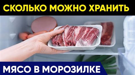 Влияние замораживания на вес свежего мяса