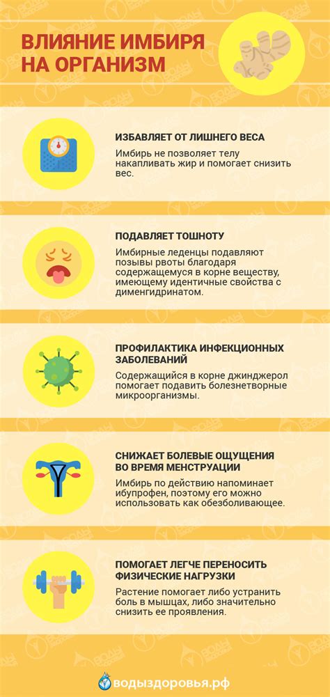 Влияние имбиря на организм