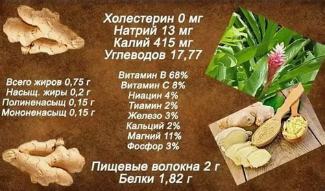 Влияние имбиря на работу почек
