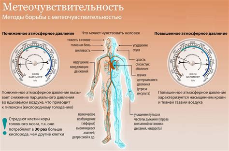 Влияние кровопускания на давление в краткосрочной и долгосрочной перспективе