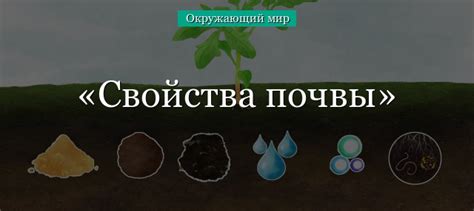 Влияние куриного помета на физические свойства почвы и рост корневой системы картофеля