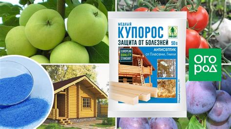 Влияние медного купороса на ягоды