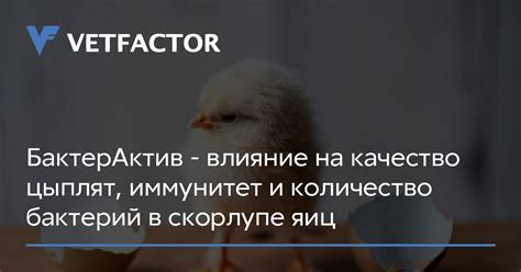 Влияние на качество яиц