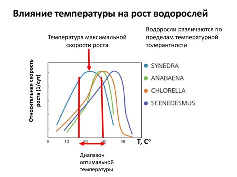 Влияние низких температур на рыболовную леску