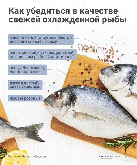 Влияние повторного использования соли на вкус и качество рыбы