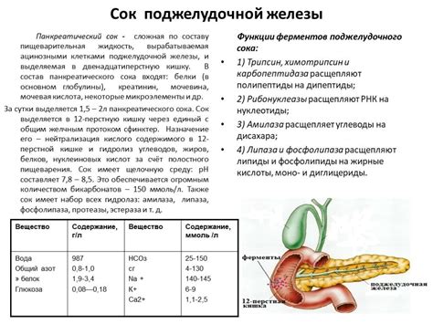 Влияние сала на пищеварительную систему собаки