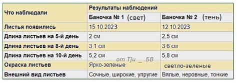 Влияние света на качество изображения