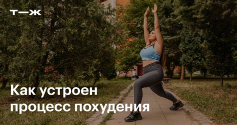Влияние снежка на процесс похудения