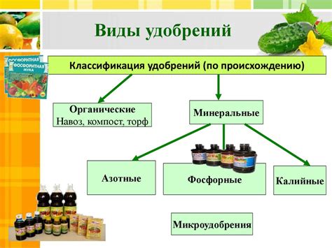 Влияние соседства вишни и можжевельника на рост и развитие