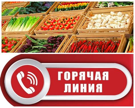 Влияние срока годности на качество и безопасность продукта