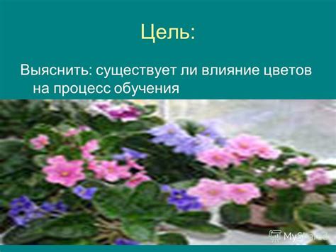 Влияние цветов на процесс компостирования