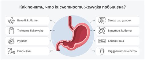 Влияние чабреца на кислотность желудка