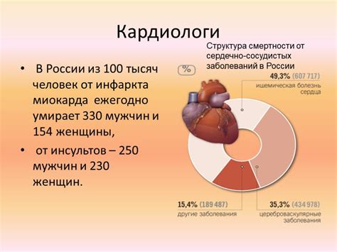 Влияние чеснока на сердечно-сосудистую систему