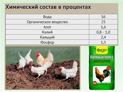 Воздействие куриного помета на урожайность картофеля