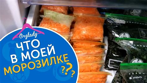 Возможность перевыполнения срока хранения осетрины в морозильной камере