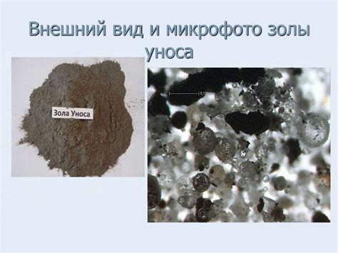 Возможные минусы использования золы